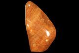 Polished, Orange Calcite Freeform - Madagascar #109633-1